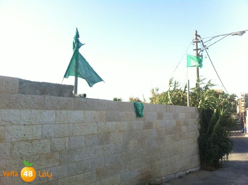 mahrajann606 (5).jpg